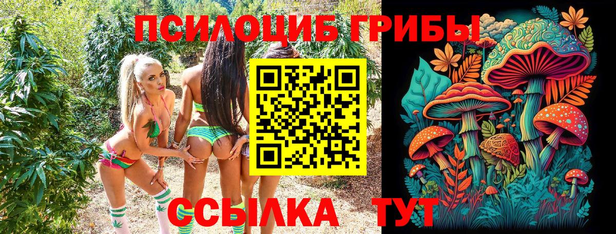 Галлюциногенные грибы Cubensis Улан-Удэ